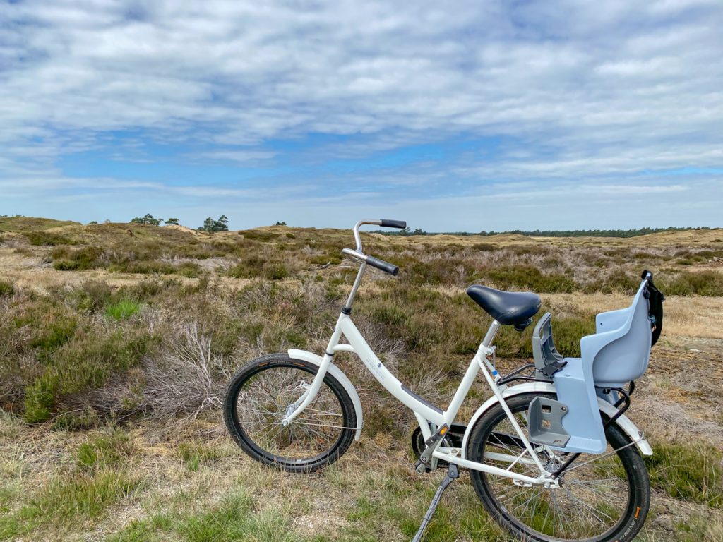 NP De Hoge Veluwe